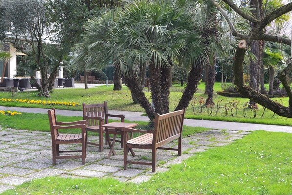 Terraza o patio