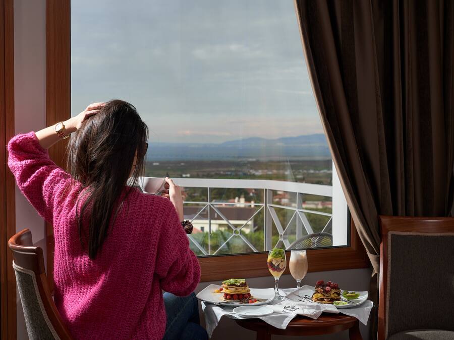 A person sitting by a window with a table set for two, overlooking a scenic view.