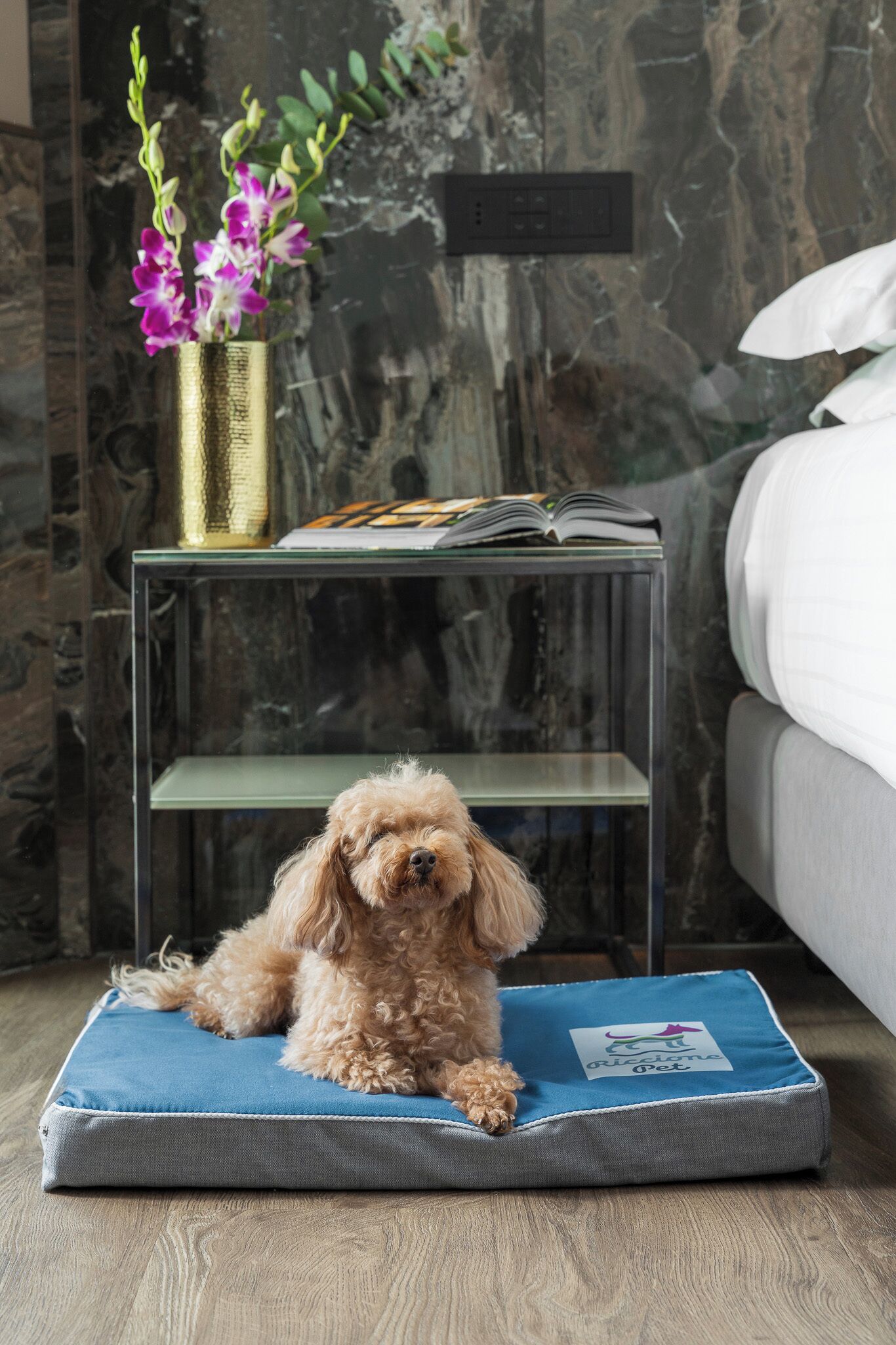 Photo - Hotel Michelangelo