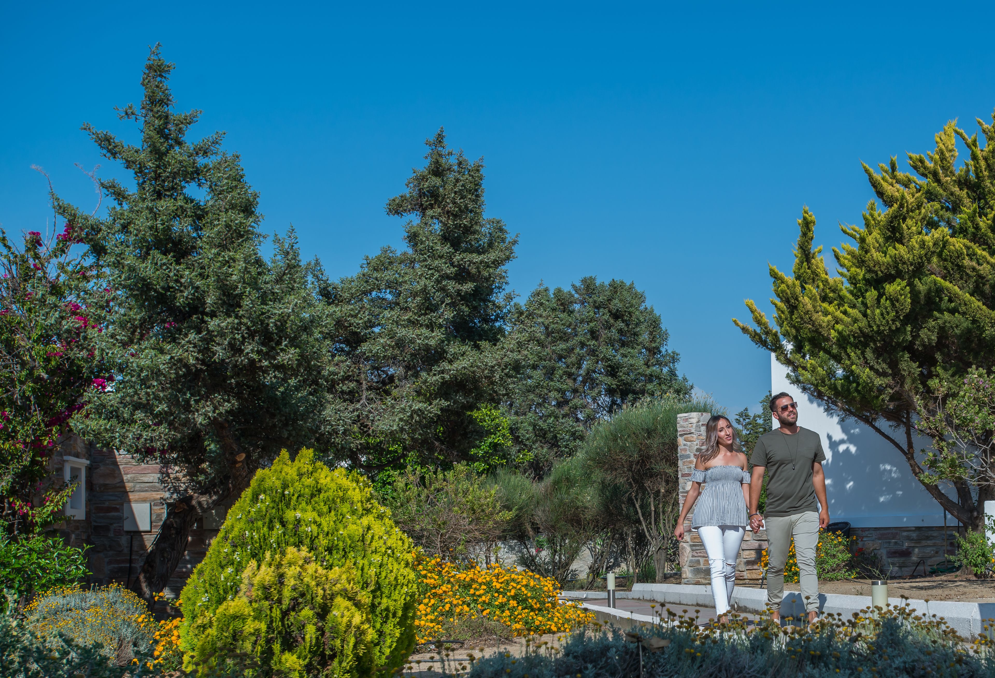 Una pareja caminando en un jardín con diversas plantas y árboles.