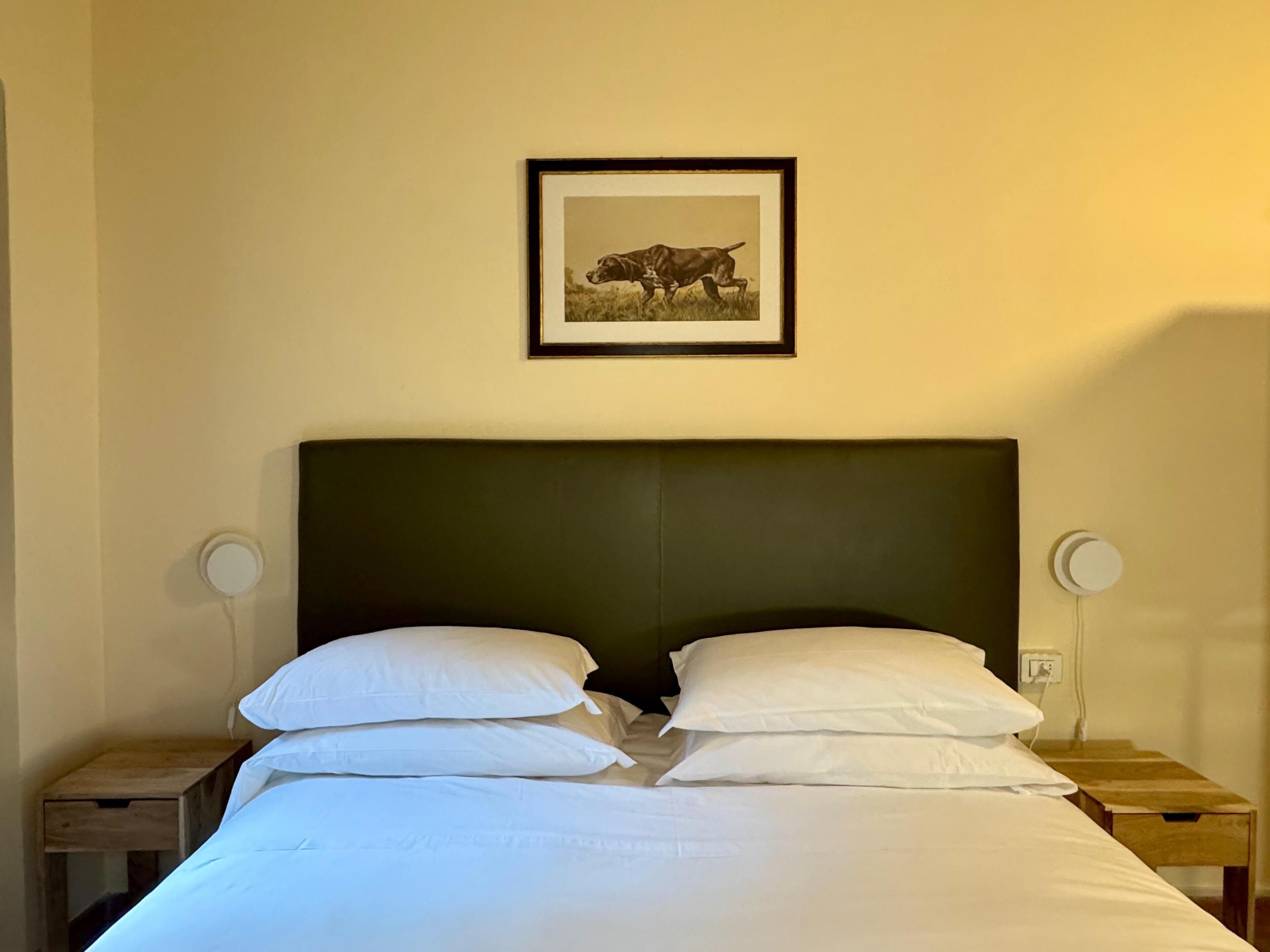 Una cama bien hecha con sábanas blancas, un cabecero oscuro y una foto enmarcada de un perro en la pared de arriba.