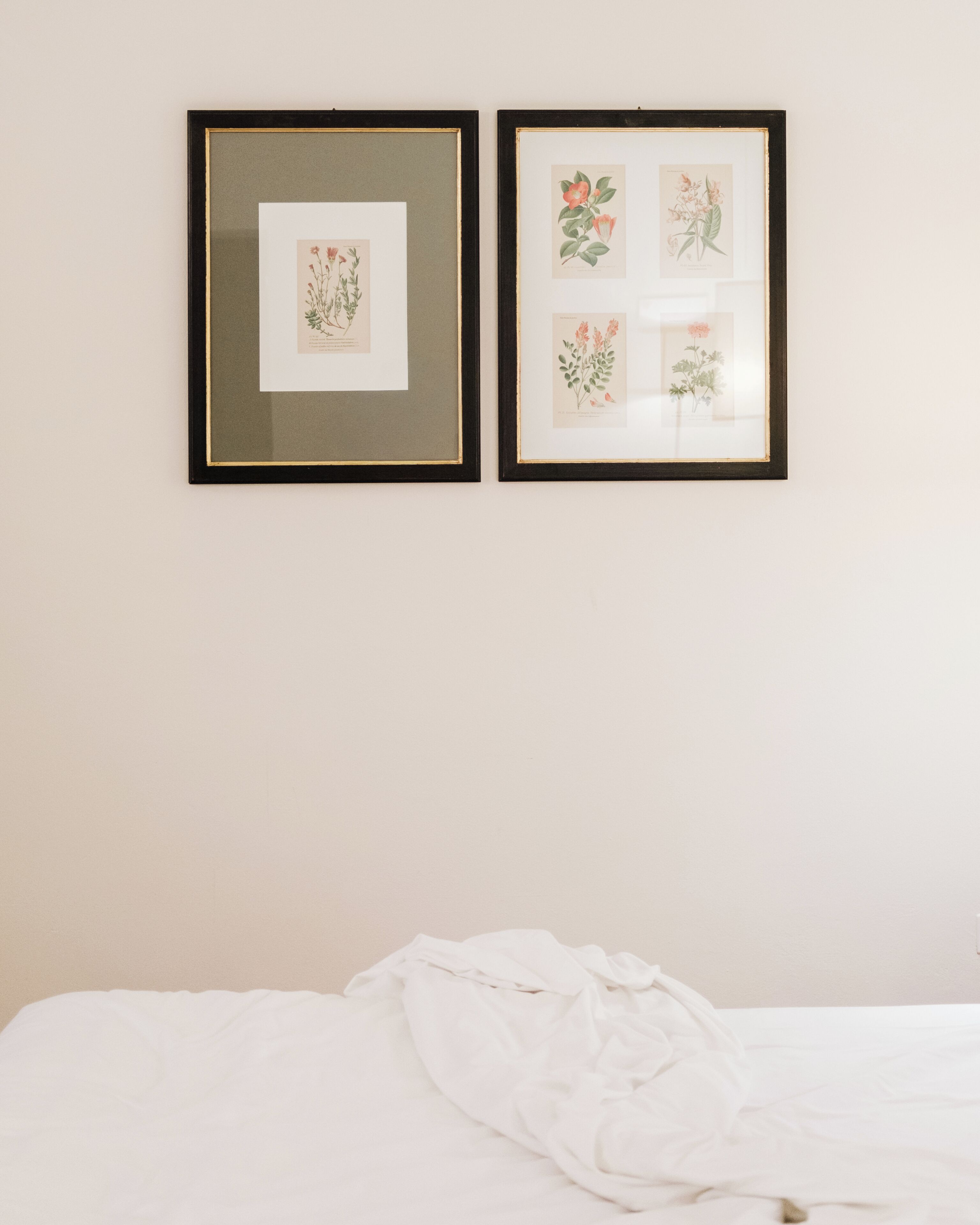 Twee ingelijste botanische tekeningen aan een muur boven een bed met een witte deken.