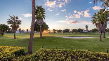 Enjoy a peaceful round of golf amidst lush greenery and scenic views.