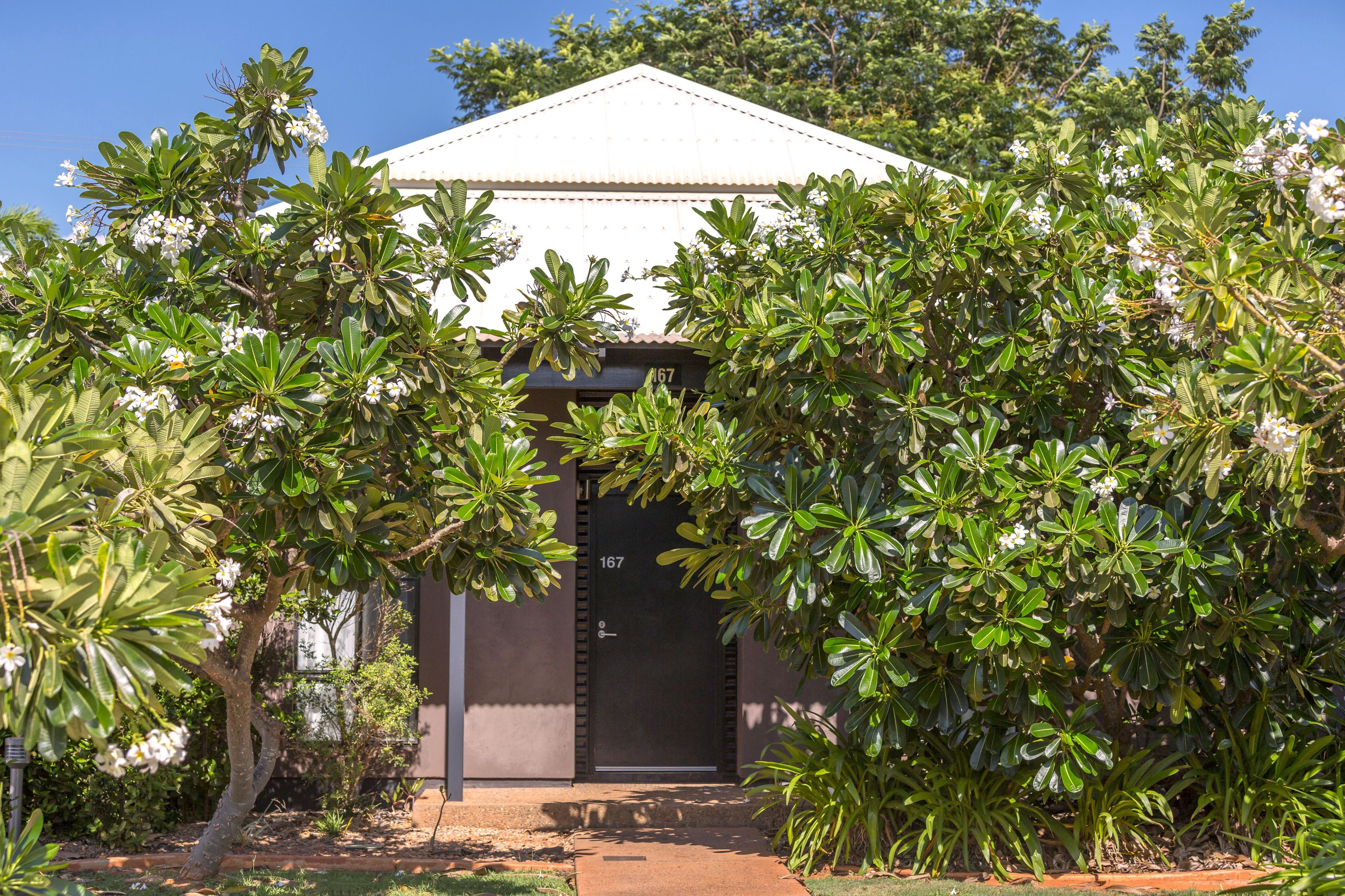 A building with a dark entrance door, surrounded by lush greenery and trees.
