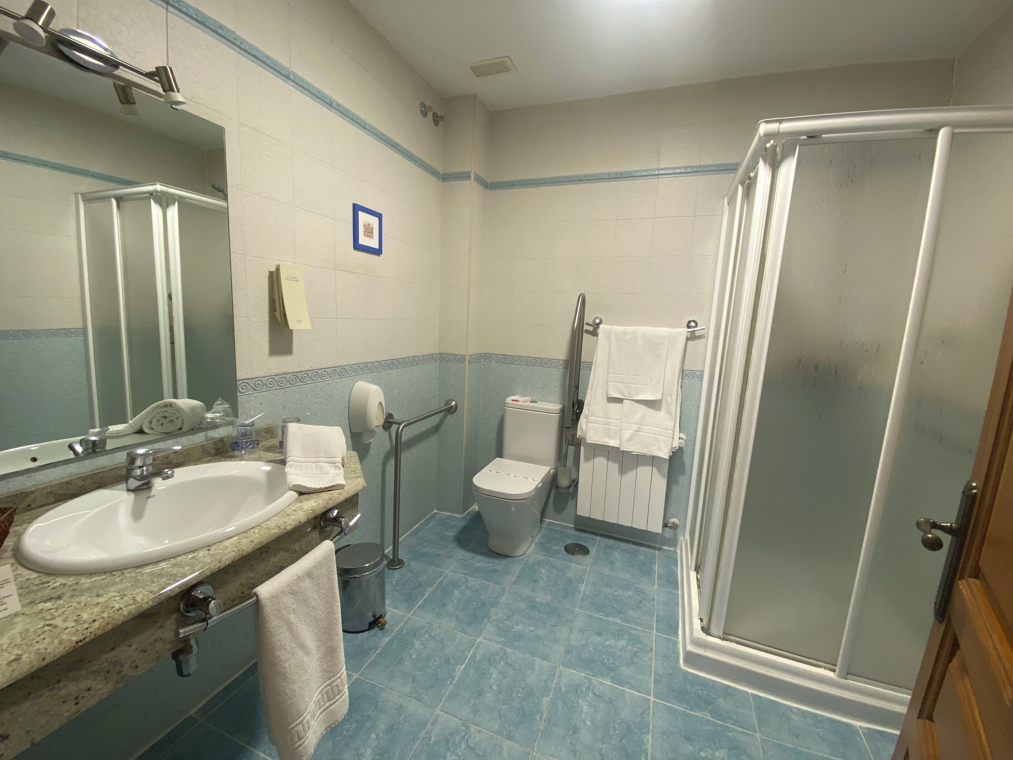 shower, bidet, towels