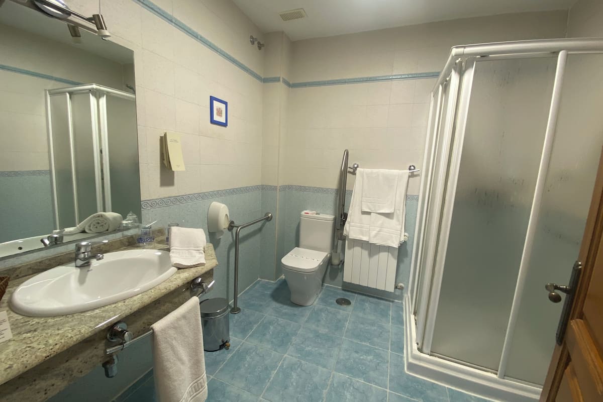 shower, bidet, towels