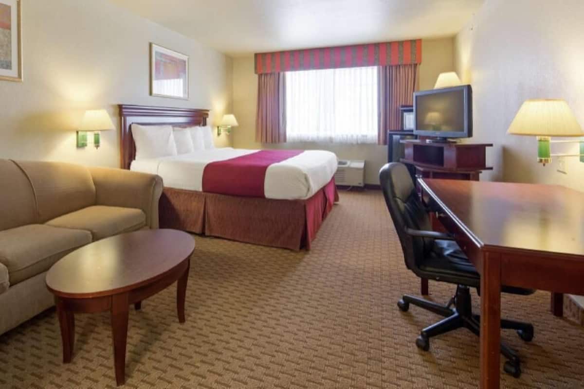 Une chambre d’hôtel comprenant un lit, un canapé, un bureau, une télévision et des lampes.