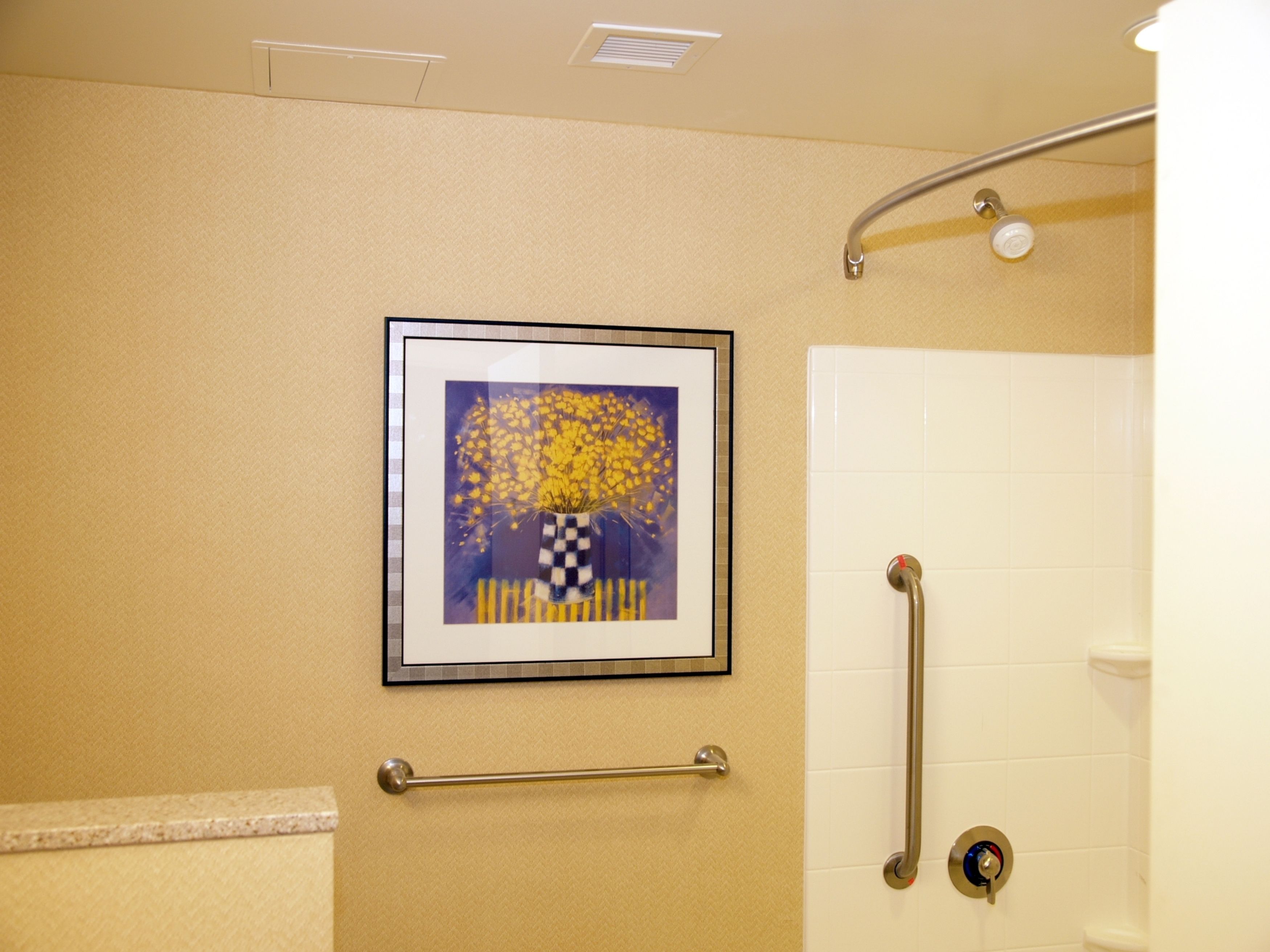 combined shower/bathtub, free toiletries, hair dryer, towels