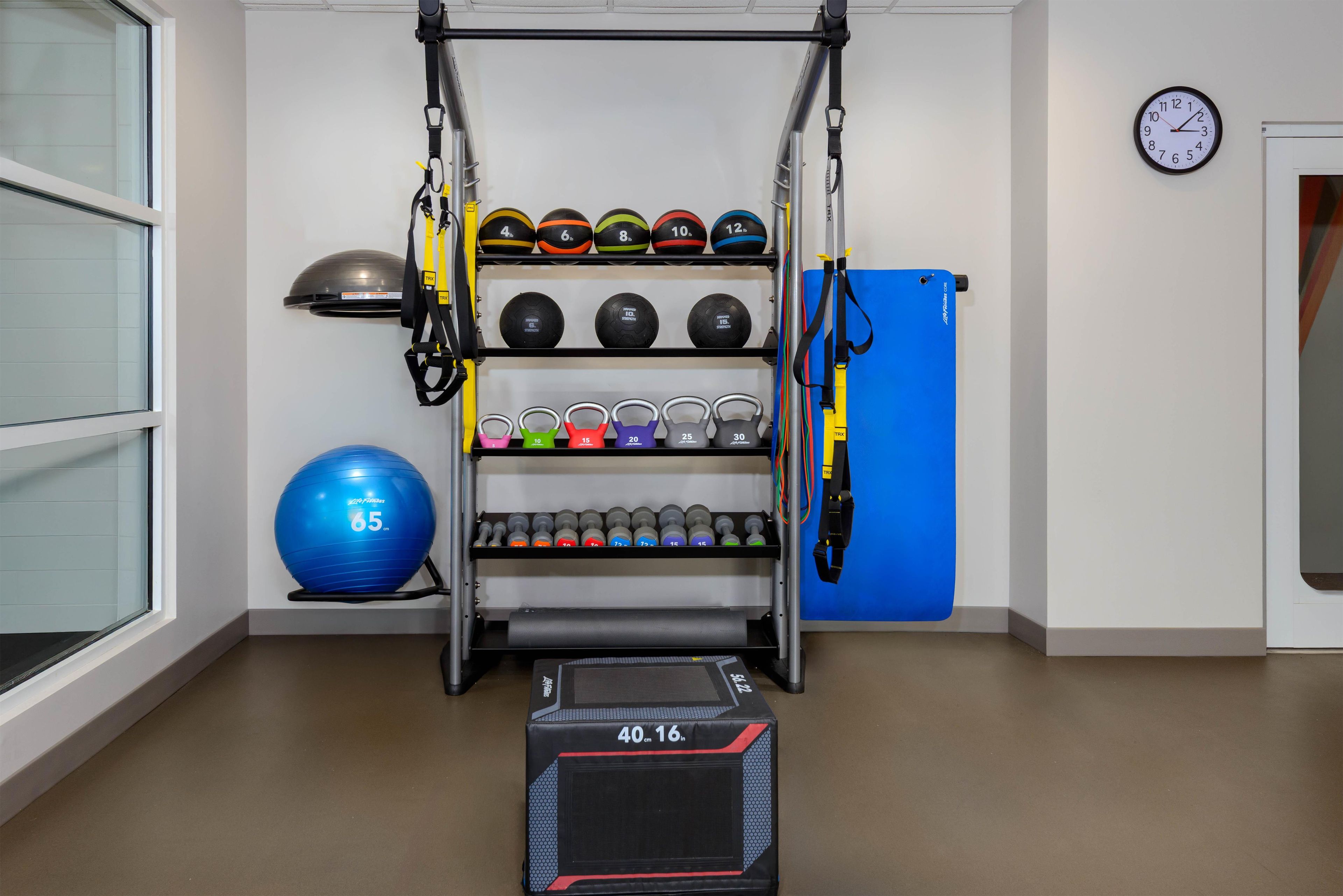 A home gym with a pull-up bar, kettlebells, medicine balls, dumbbells, a blue exercise ball, and a jump rope.