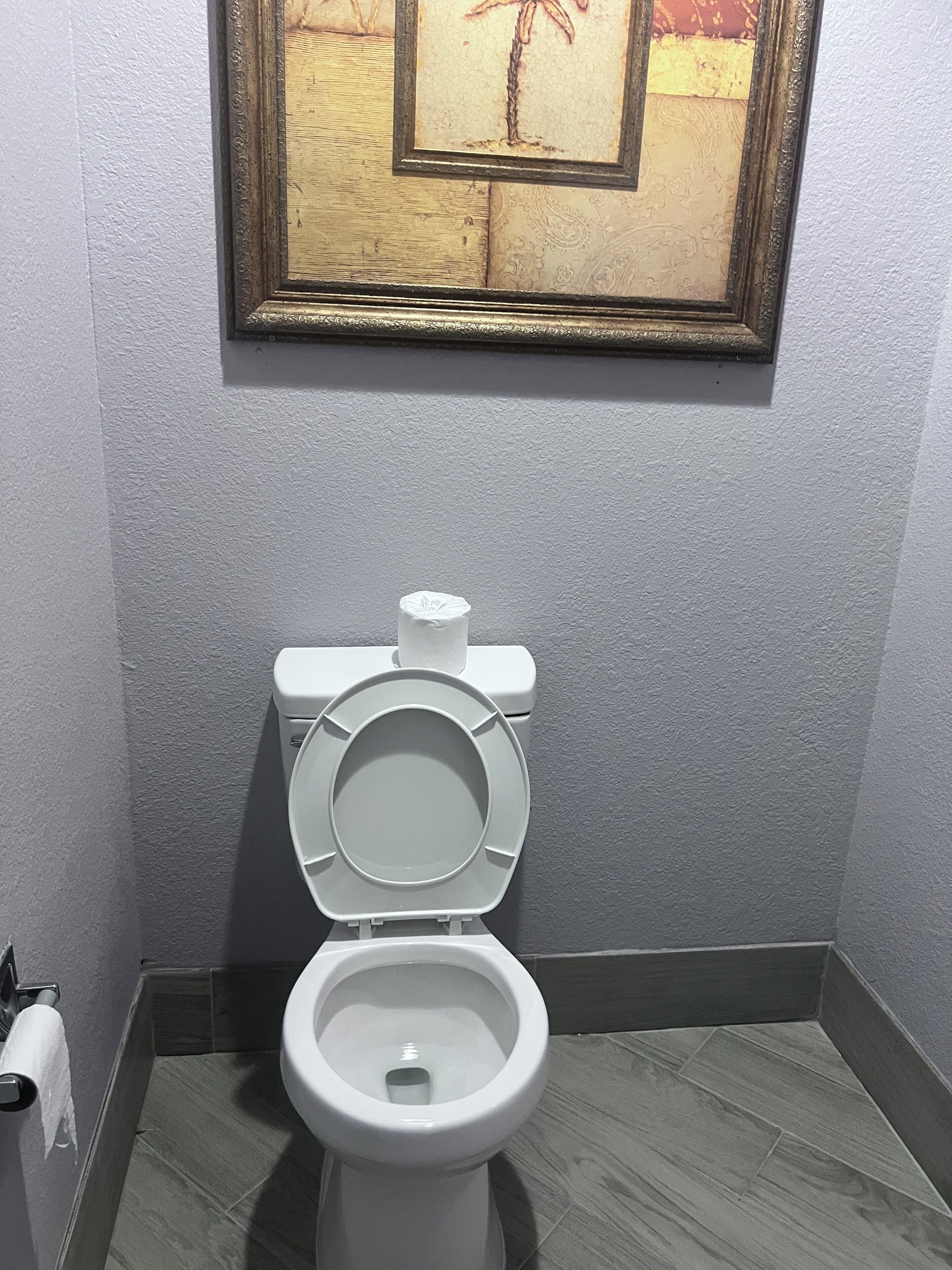 Un baño con un inodoro, un cuadro enmarcado encima y un suelo estampado.