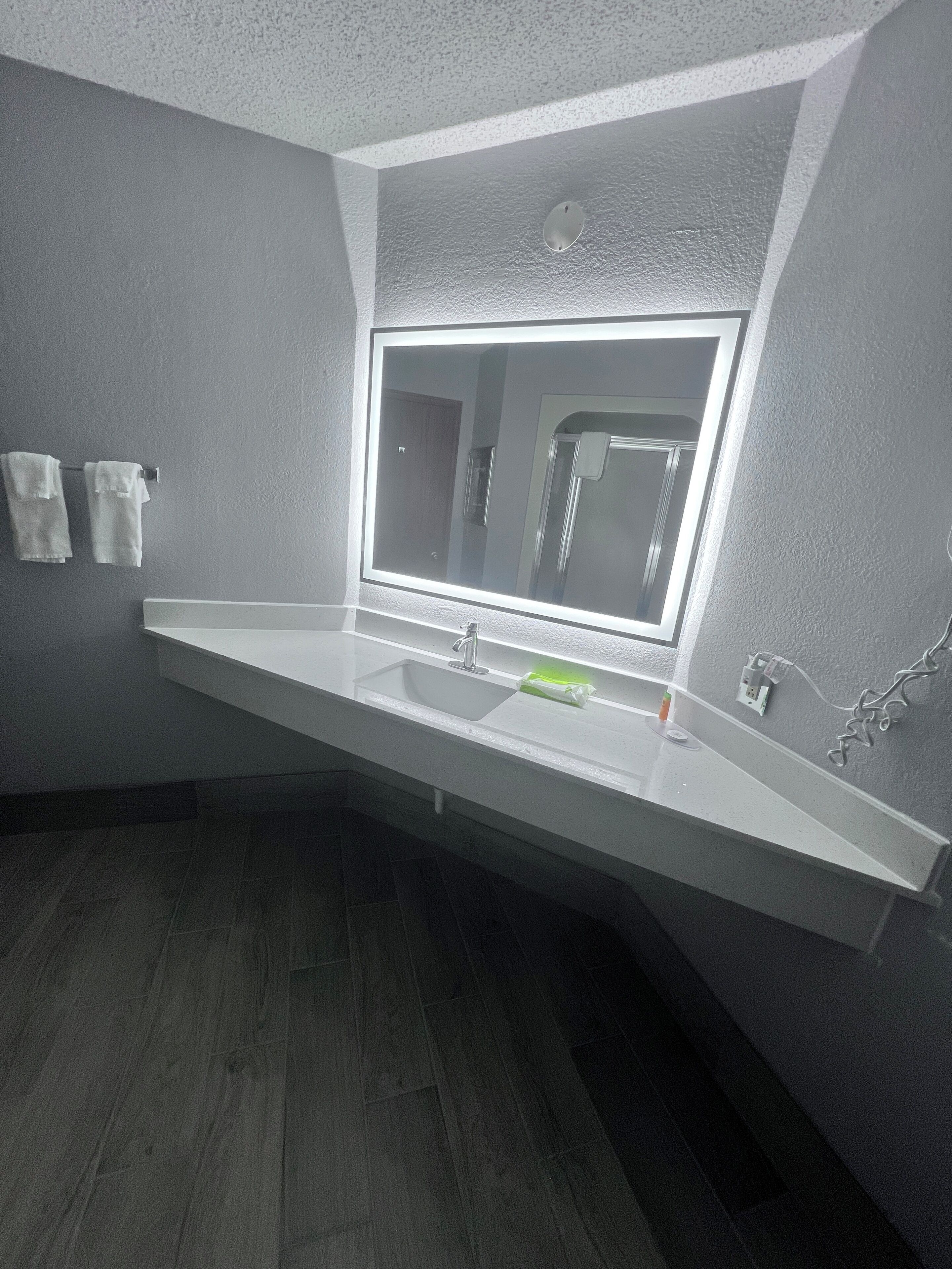 A bathroom with a white vanity, a large mirror, and a shower visible through the window.