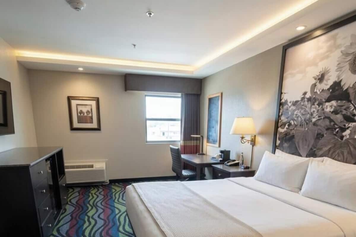 A hotel room with a large bed, a desk, a chair, a dresser, and a large window.