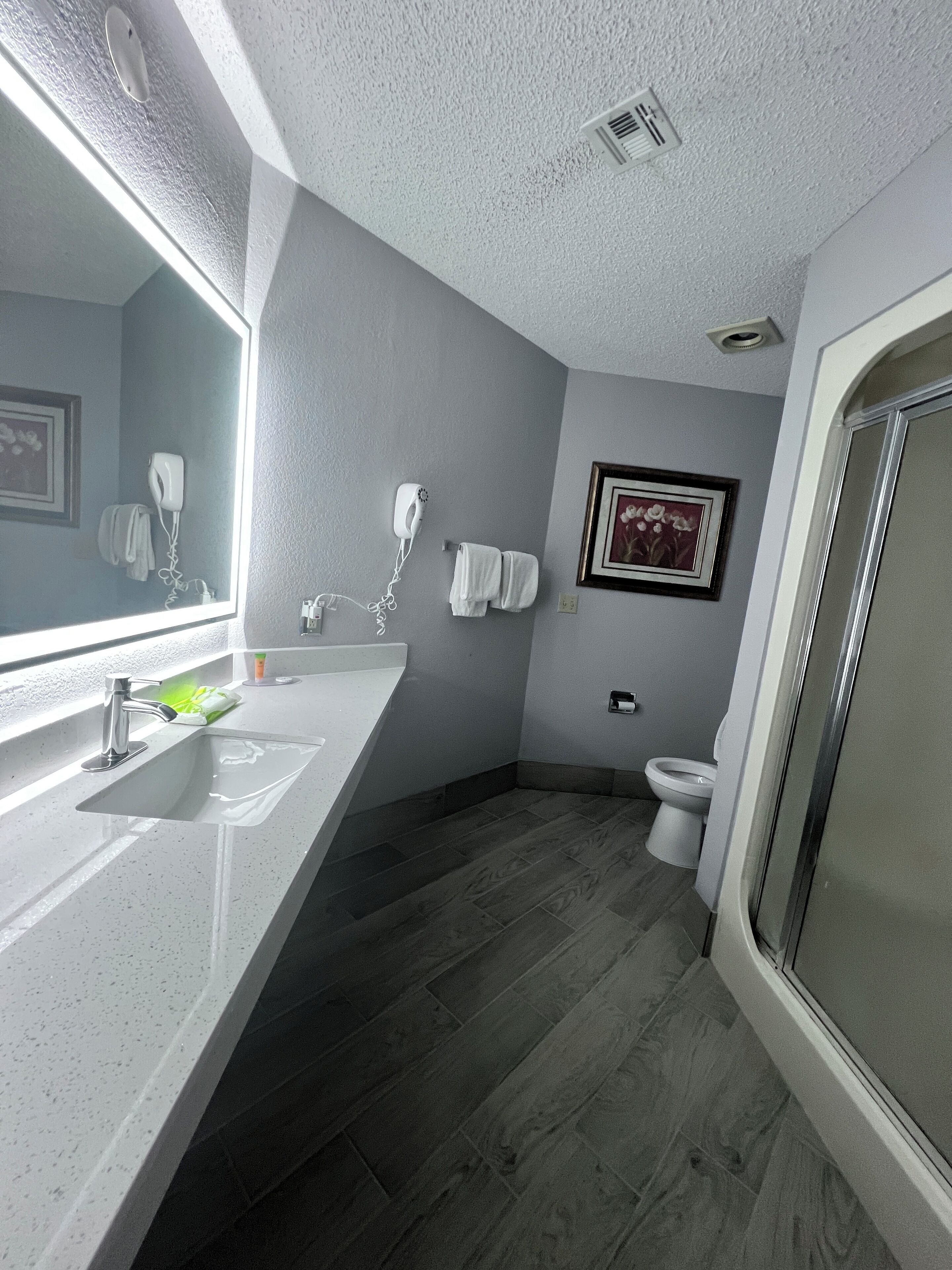 Een badkamer met een wit wastafel, een haardroger, een toilet en een douche.