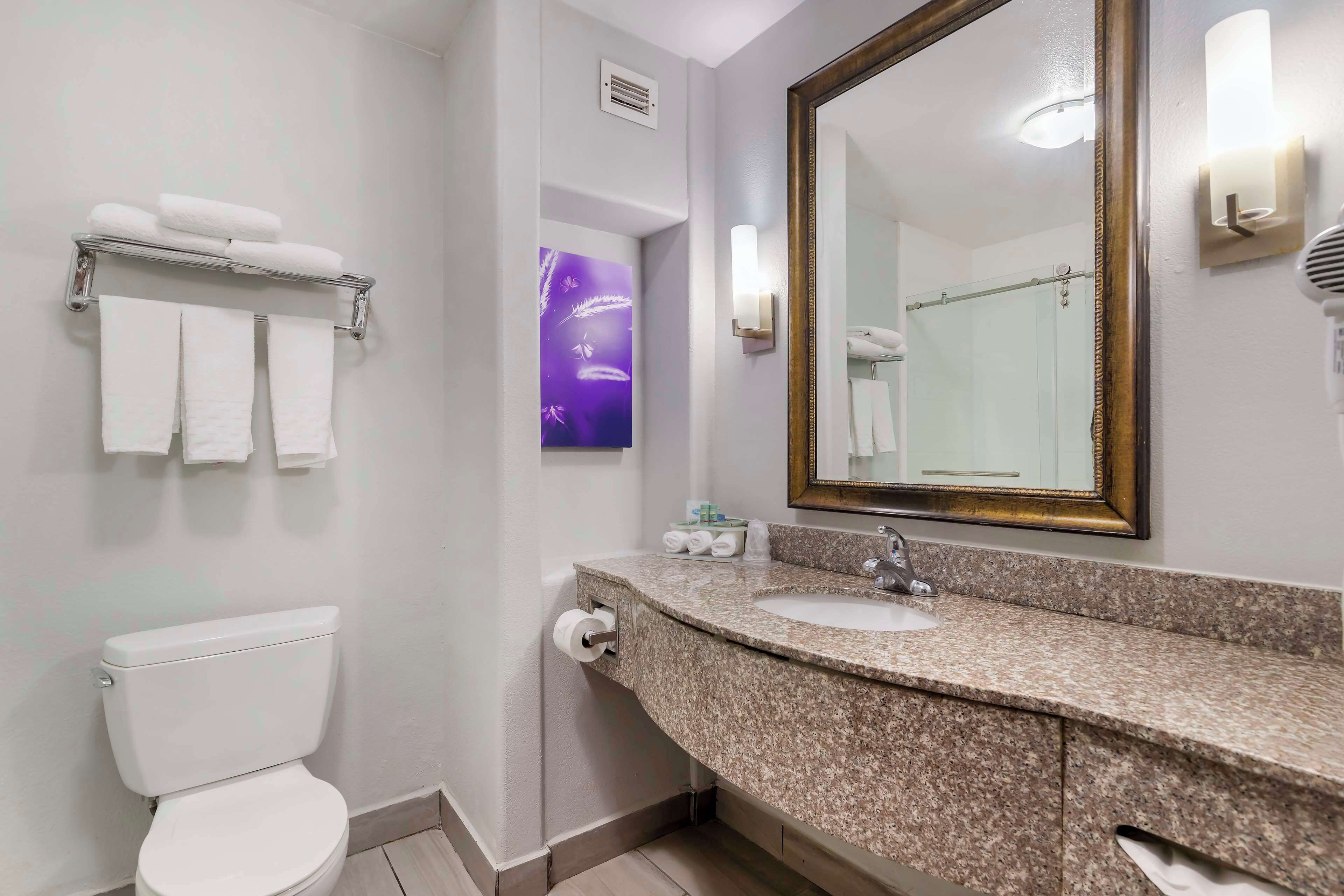 combined shower/bathtub, free toiletries, hair dryer, towels