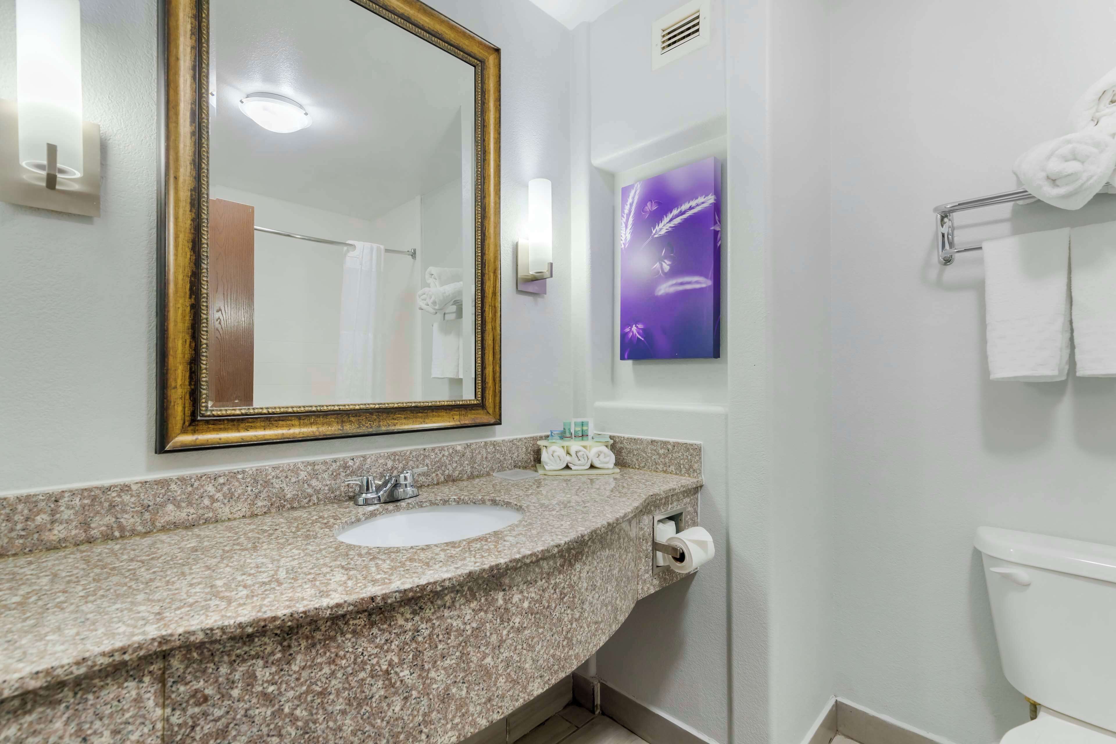 combined shower/bathtub, free toiletries, hair dryer, towels