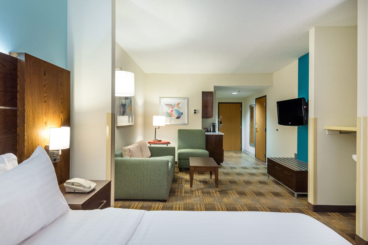 suite, 1 king bed | desk, laptop workspace, blackout curtains, iron/ironing board