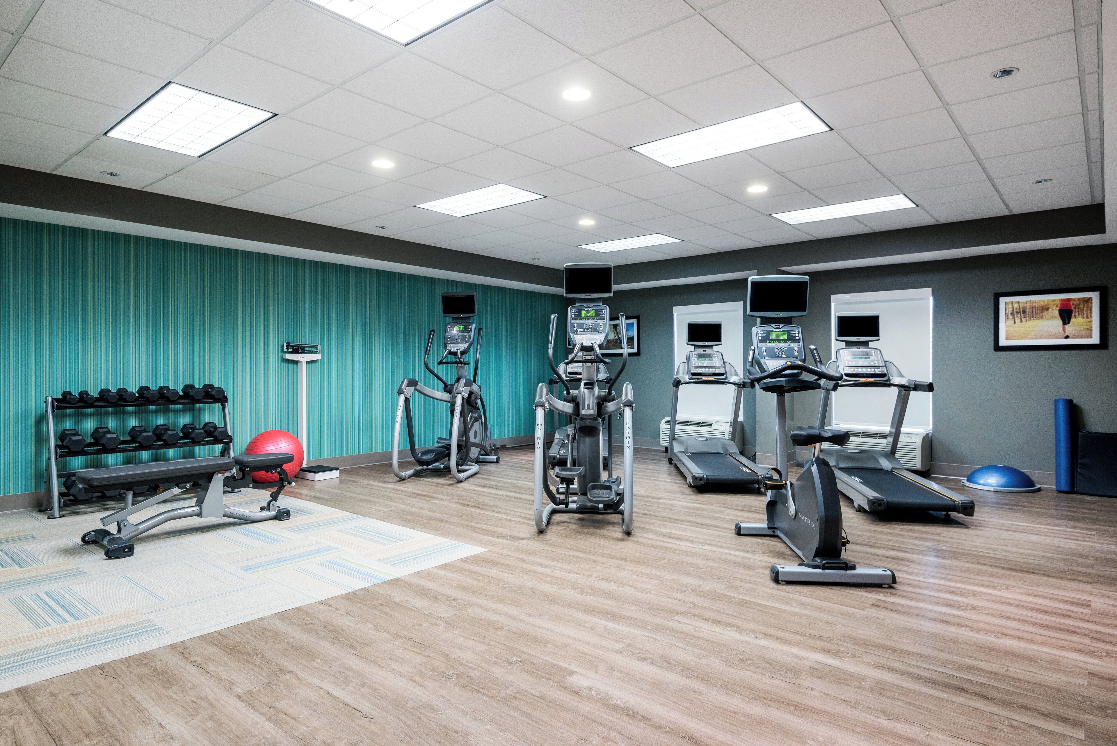 A gym with treadmills, elliptical machines, and free weights.