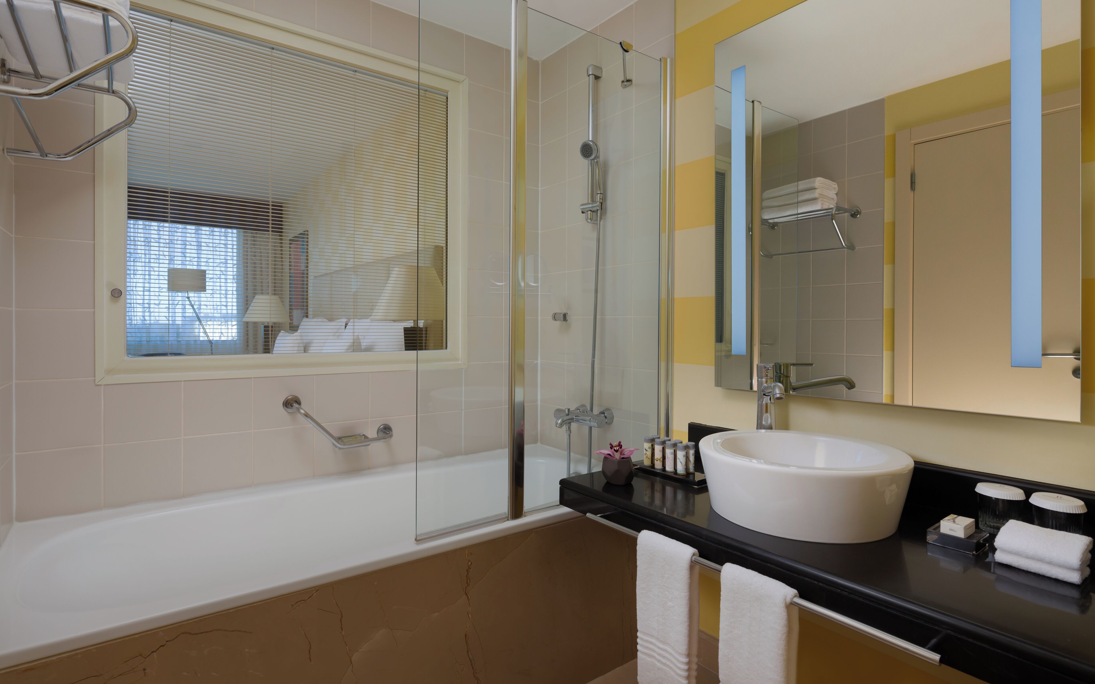 combined shower/bathtub, free toiletries, hair dryer, towels