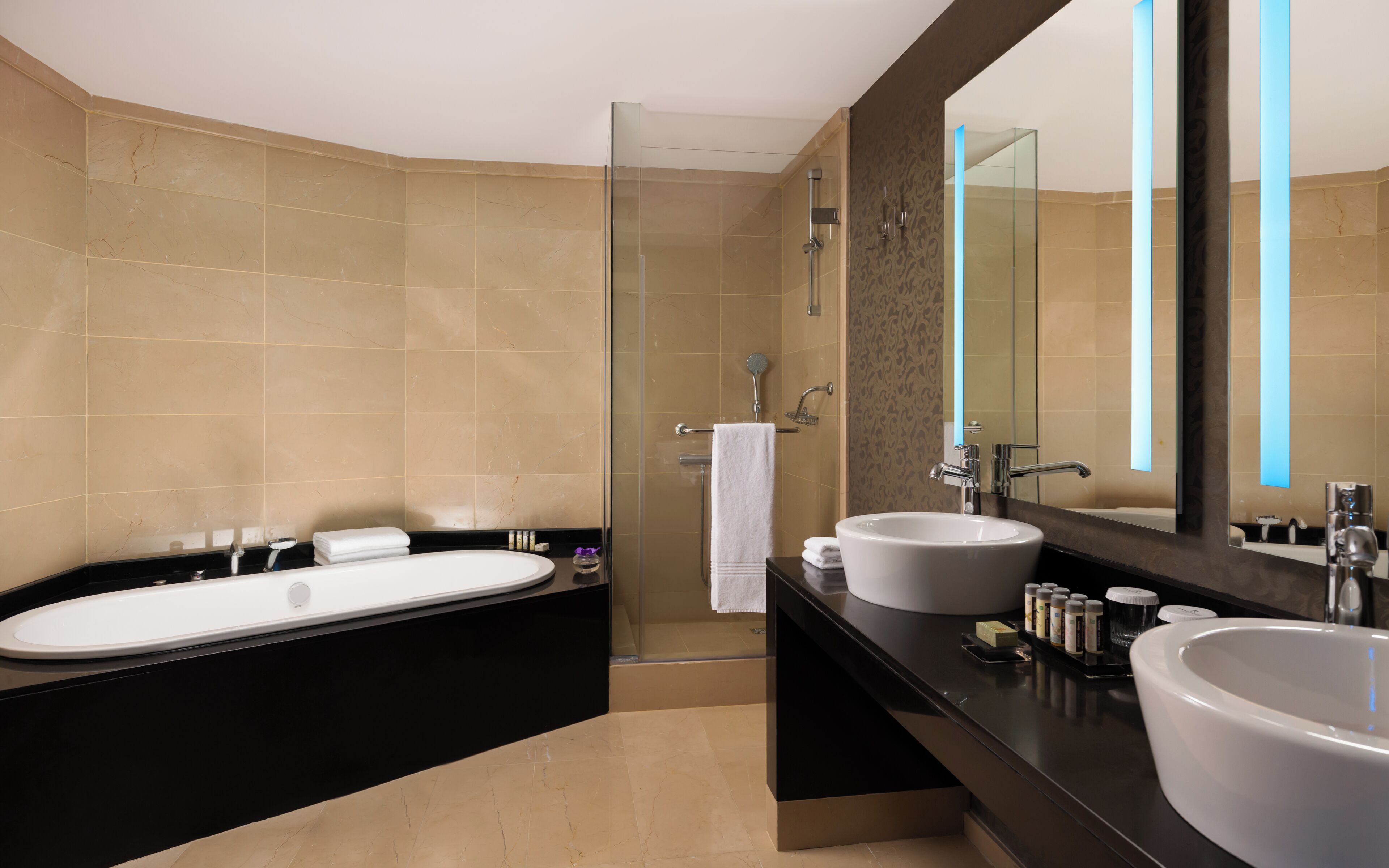 combined shower/bathtub, free toiletries, hair dryer, towels