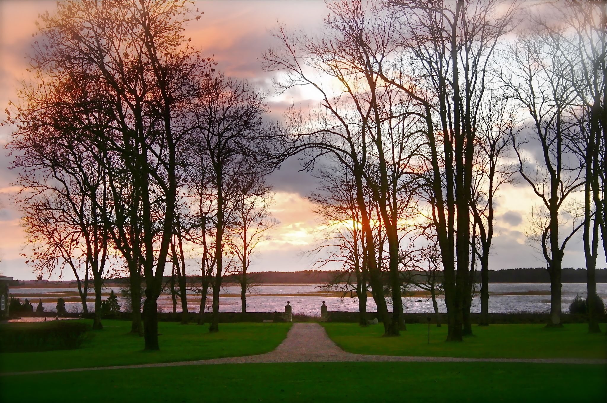 grand suite, fireplace, park view | egyptian cotton sheets, premium bedding, minibar, in-room safe