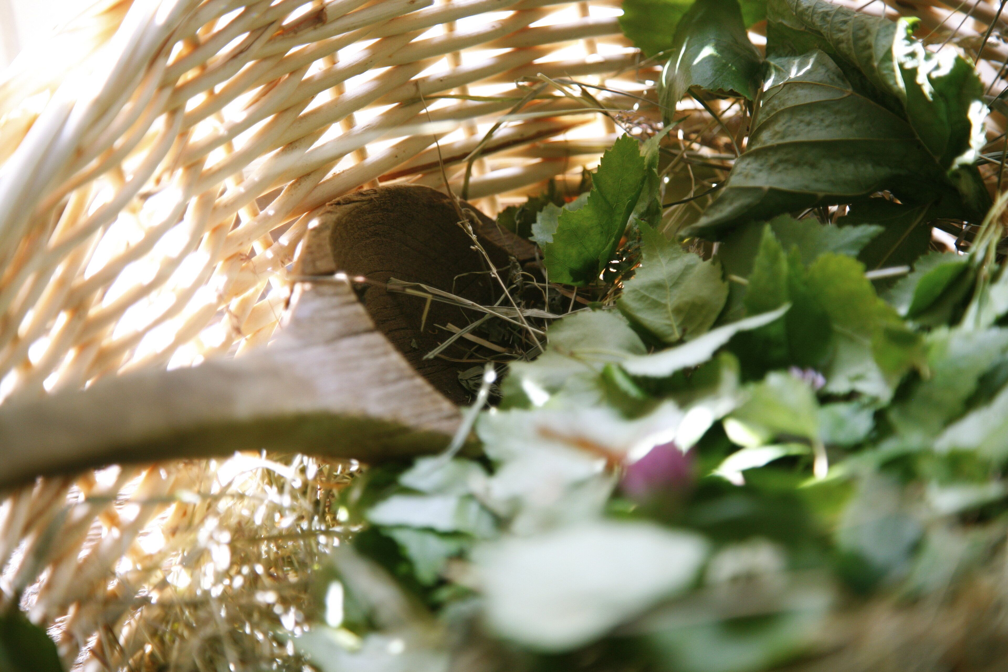 sauna, hot tub, steam room, turkish bath/hammam, body treatments