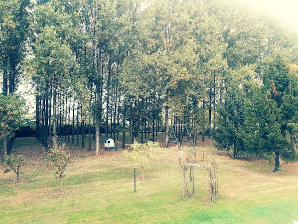 Studio | Garden view