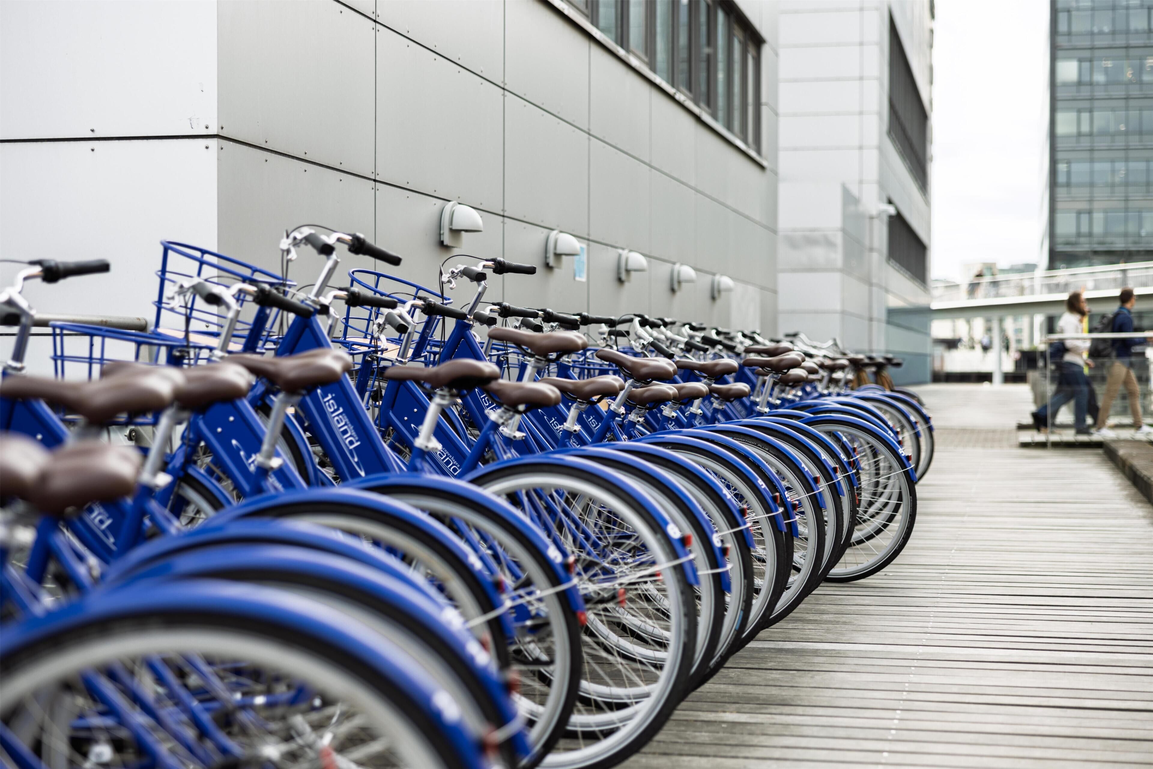 A row of blue bicycles parked against a building with large windows.