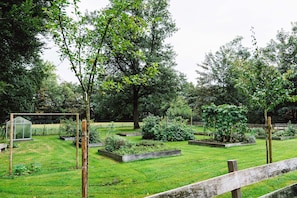 Jardín