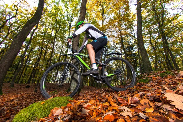 Una persona montando una bicicleta de montaña por un bosque con hojas caídas en el suelo.