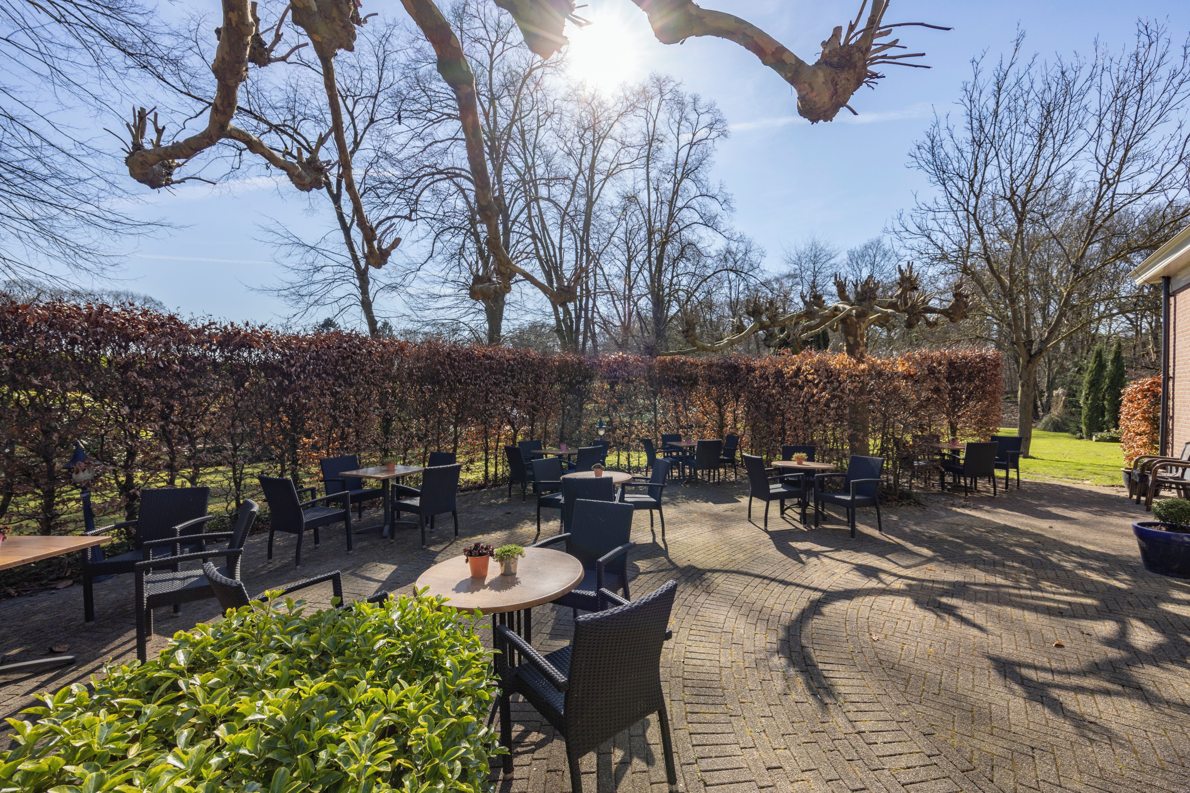 Een terras buiten met tafels en stoelen, omringd door heggen en bomen.