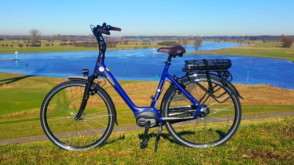 A blue bicycle with a basket and a water bottle on the seat, parked on a grassy area with a view of a lake and fields in the background.