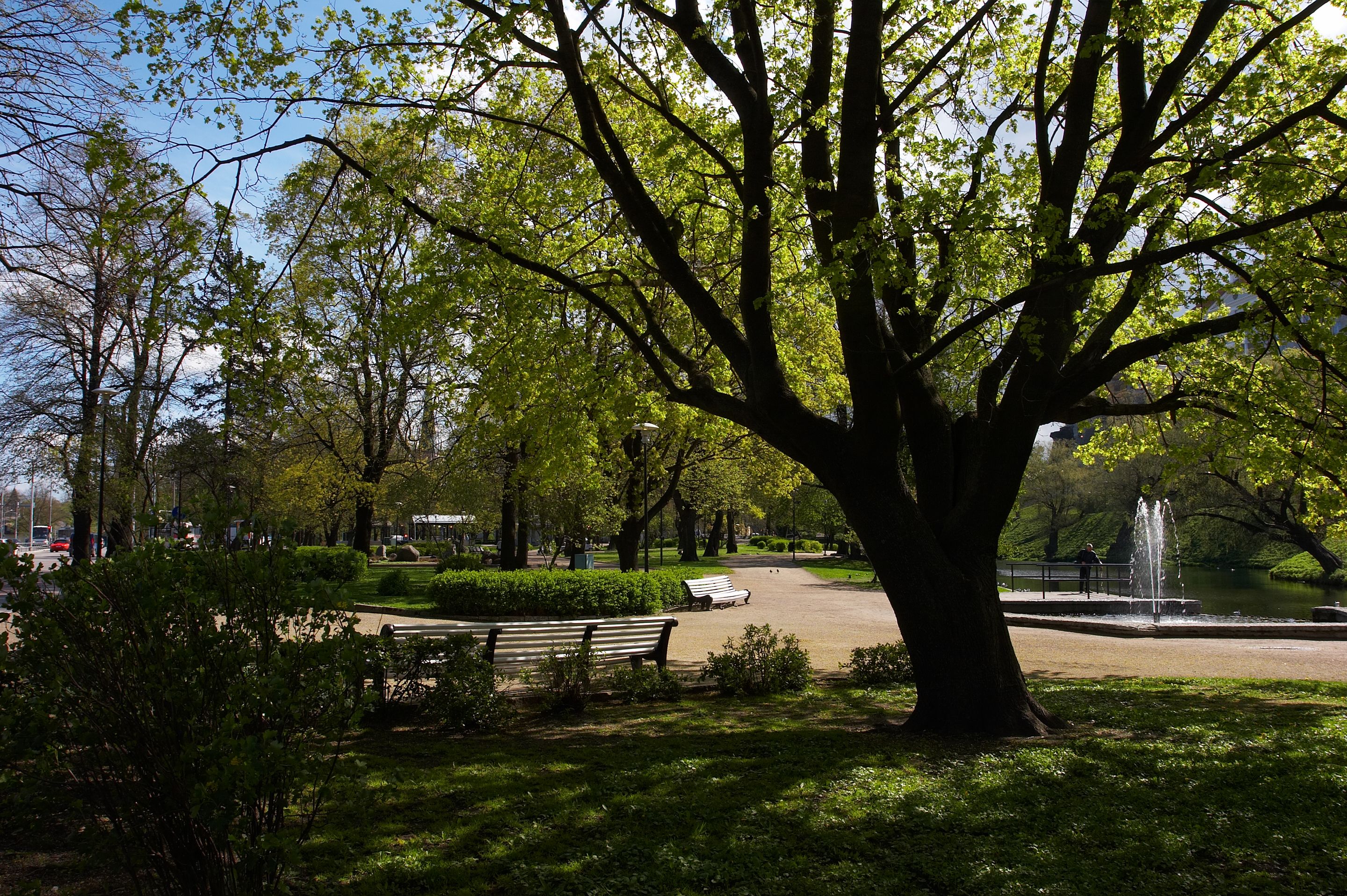 Foto - Go Hotel Shnelli