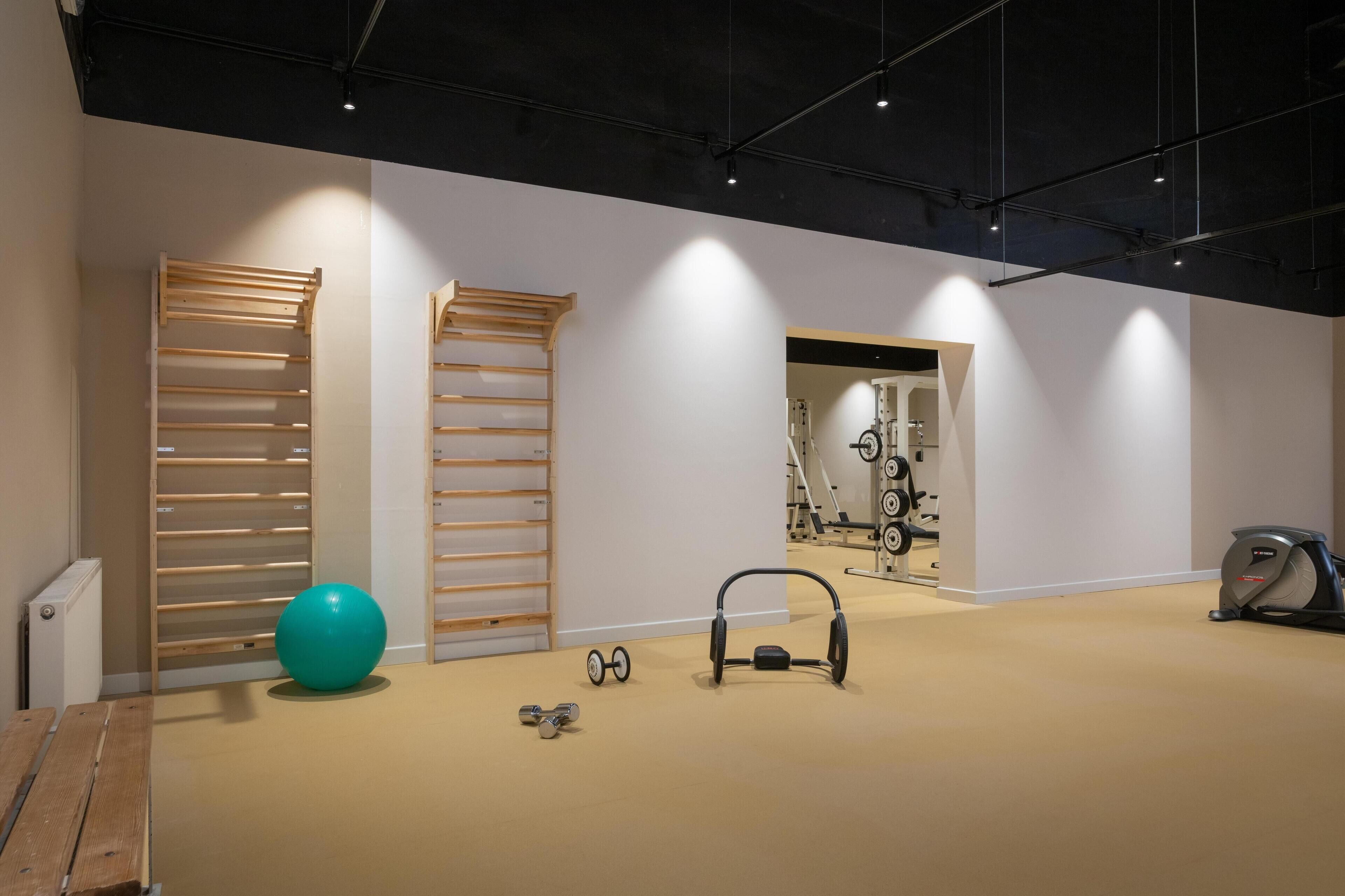 A spacious, well-lit room with a beige carpet, wooden shelves, a large exercise ball, dumbbells, and a stationary bike.