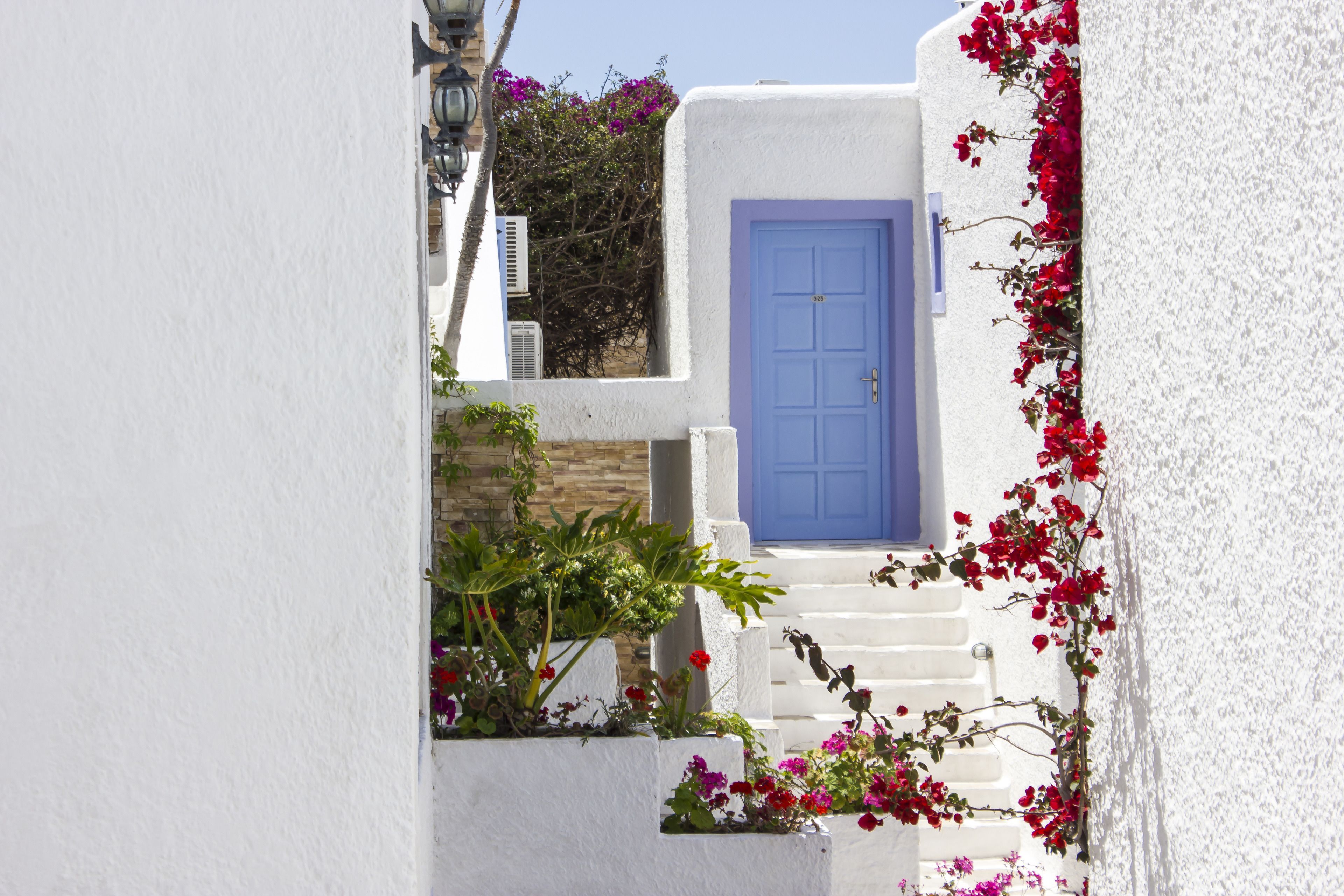 Foto - Naxos Holidays