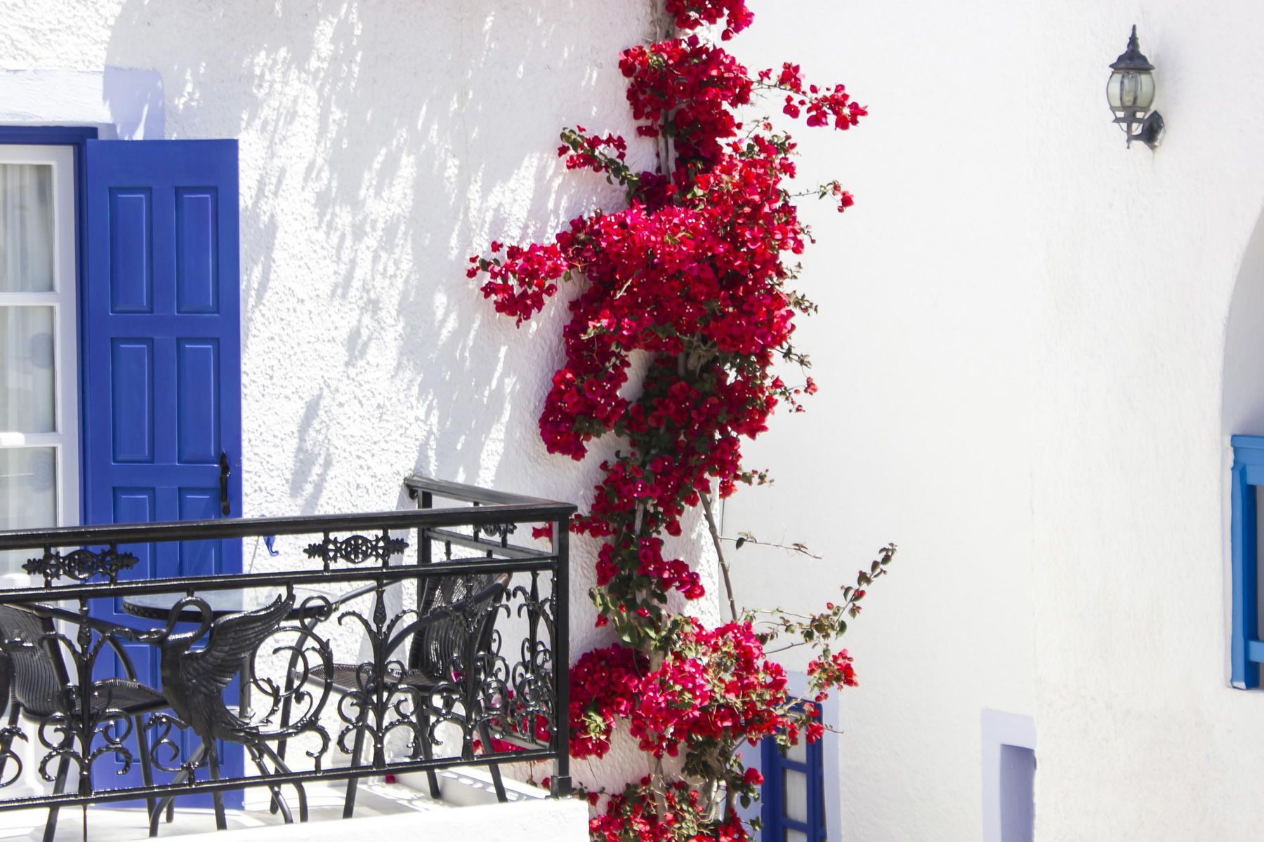 A white building with blue doors and windows, a metal railing, and red flowers.