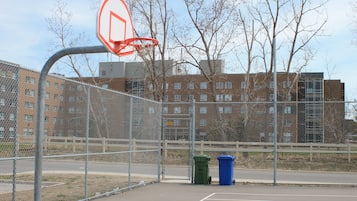 Basketball court