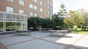 Área de parrilladas y picnic