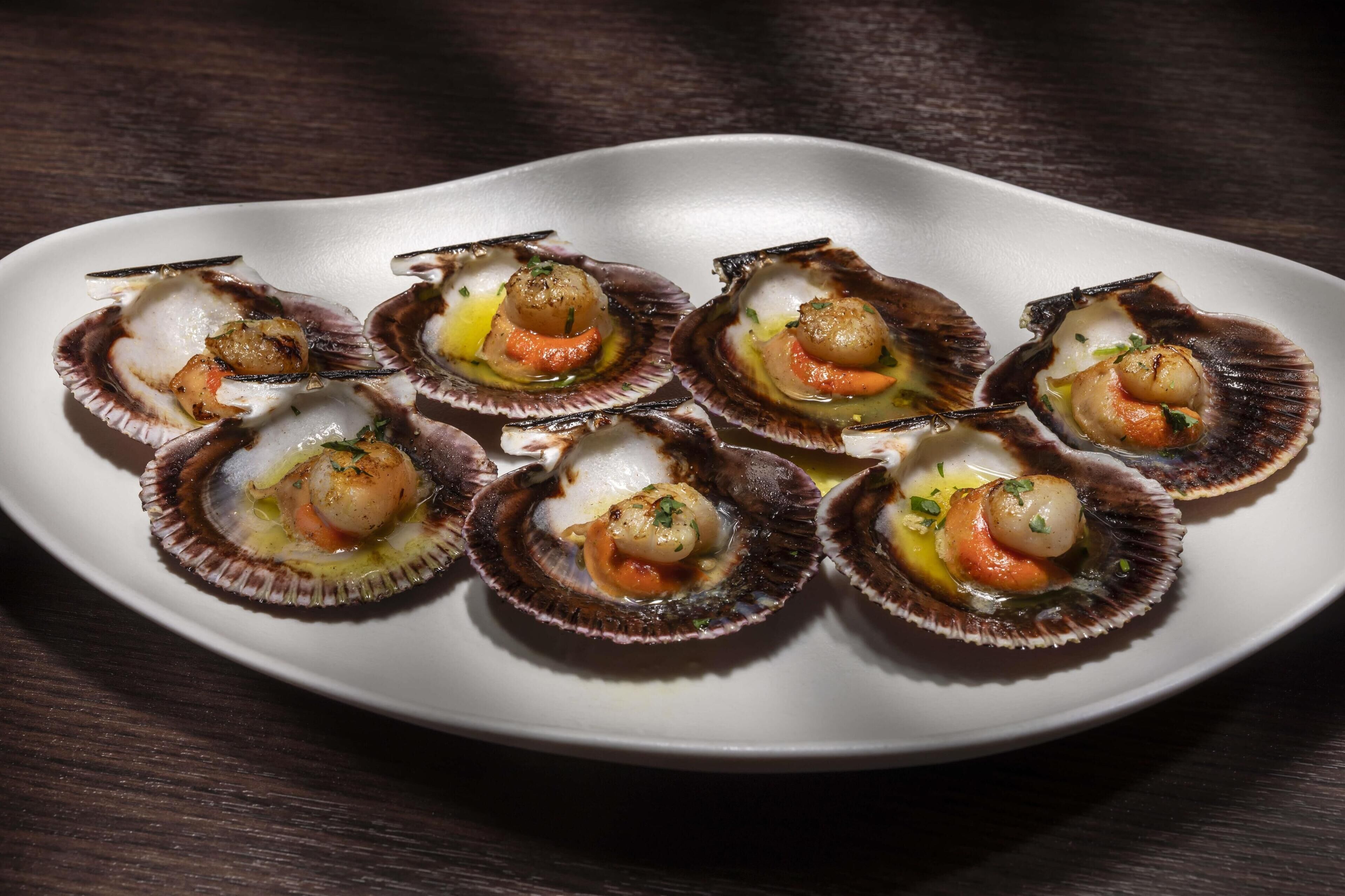 Un plato blanco con ocho vieiras dispuestas en forma de semicírculo.
