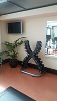 Un gimnasio con espejo, televisión y una planta.