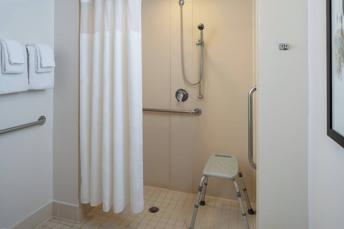 combined shower/bathtub, free toiletries, hair dryer, towels