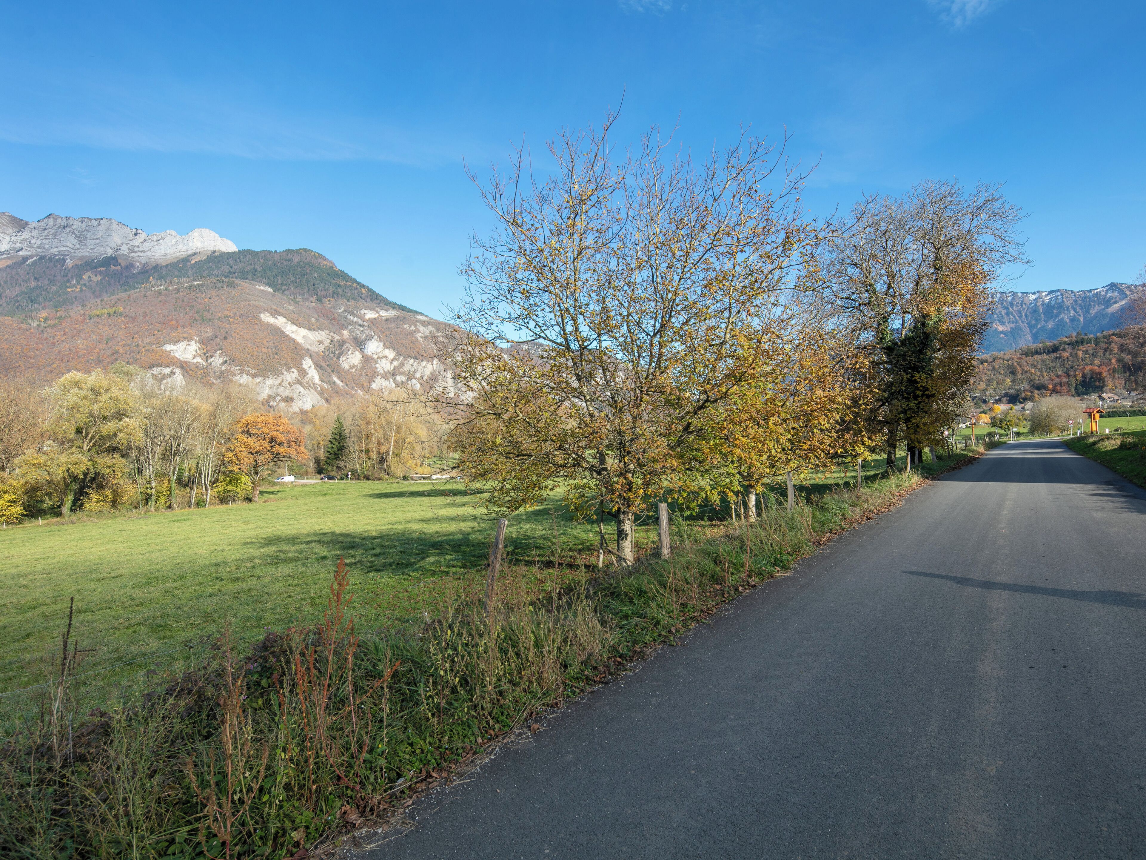 Eksteriør