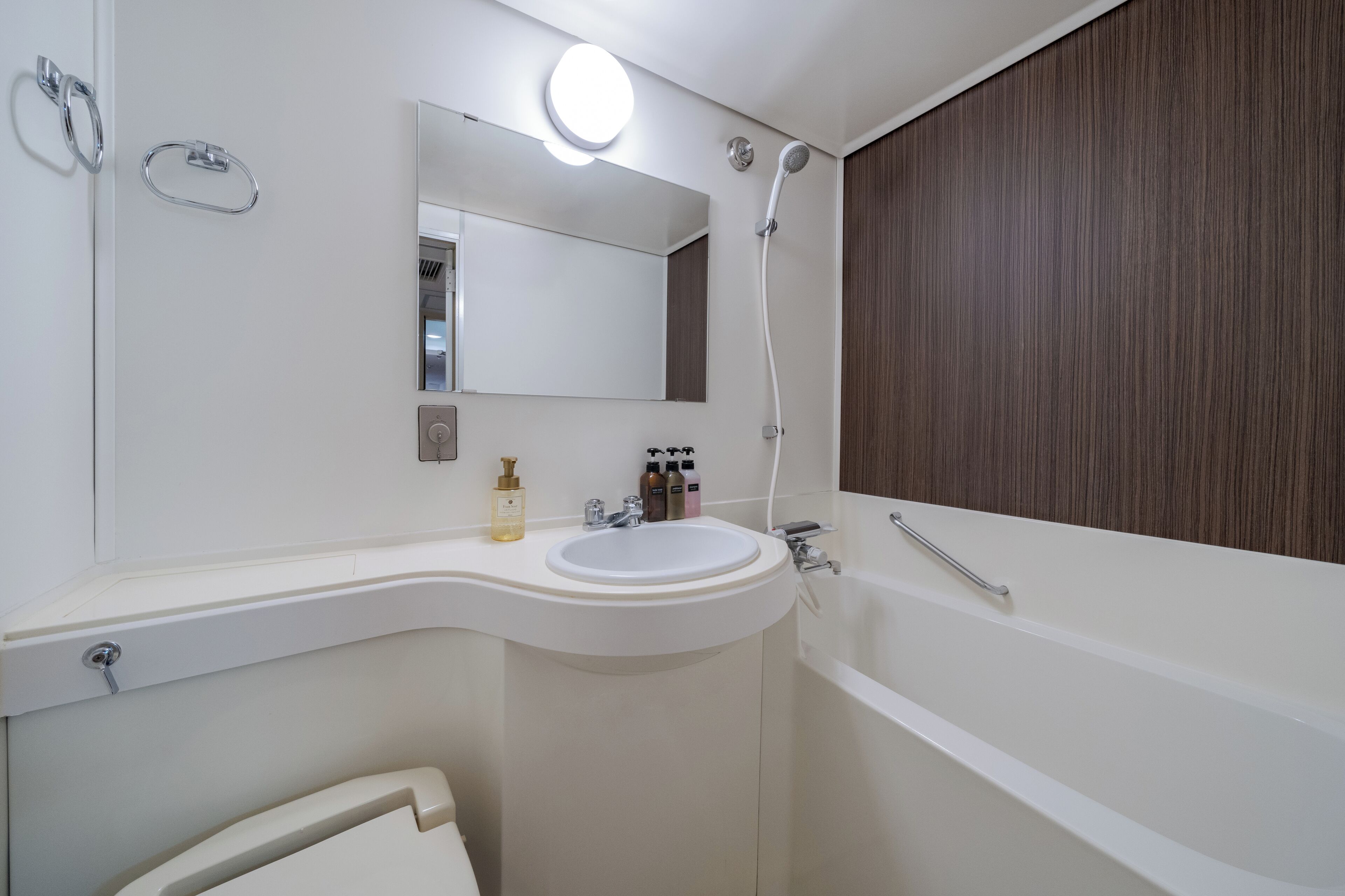 combined shower/bathtub, free toiletries, hair dryer, slippers