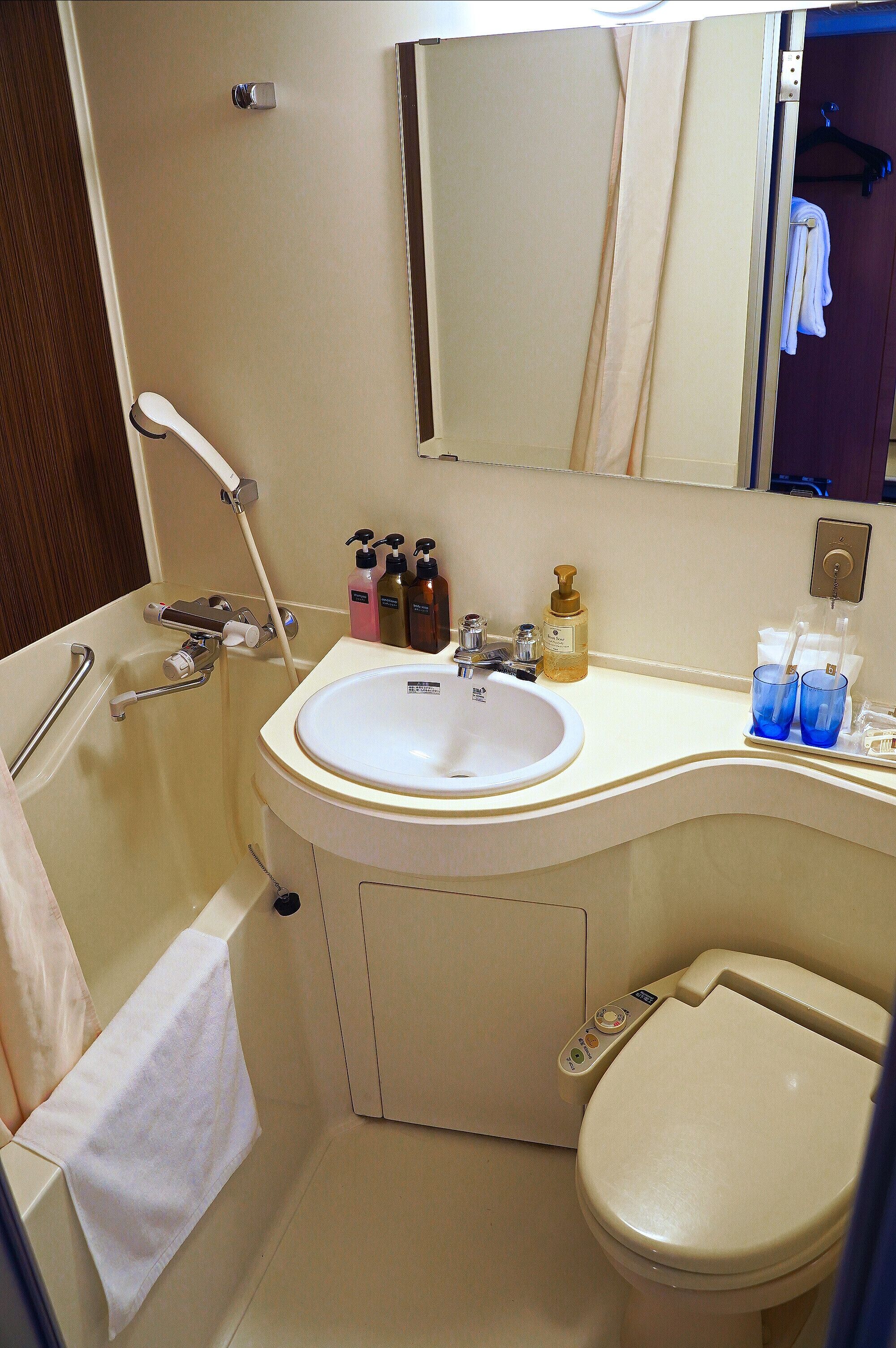 combined shower/bathtub, free toiletries, hair dryer, slippers