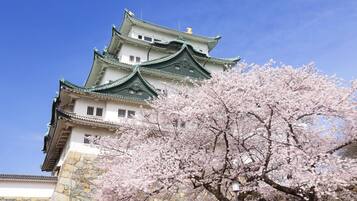 Un château japonais traditionnel, doté de plusieurs niveaux et de toits verts, entouré d’arbres en fleurs, notamment de cerisiers.