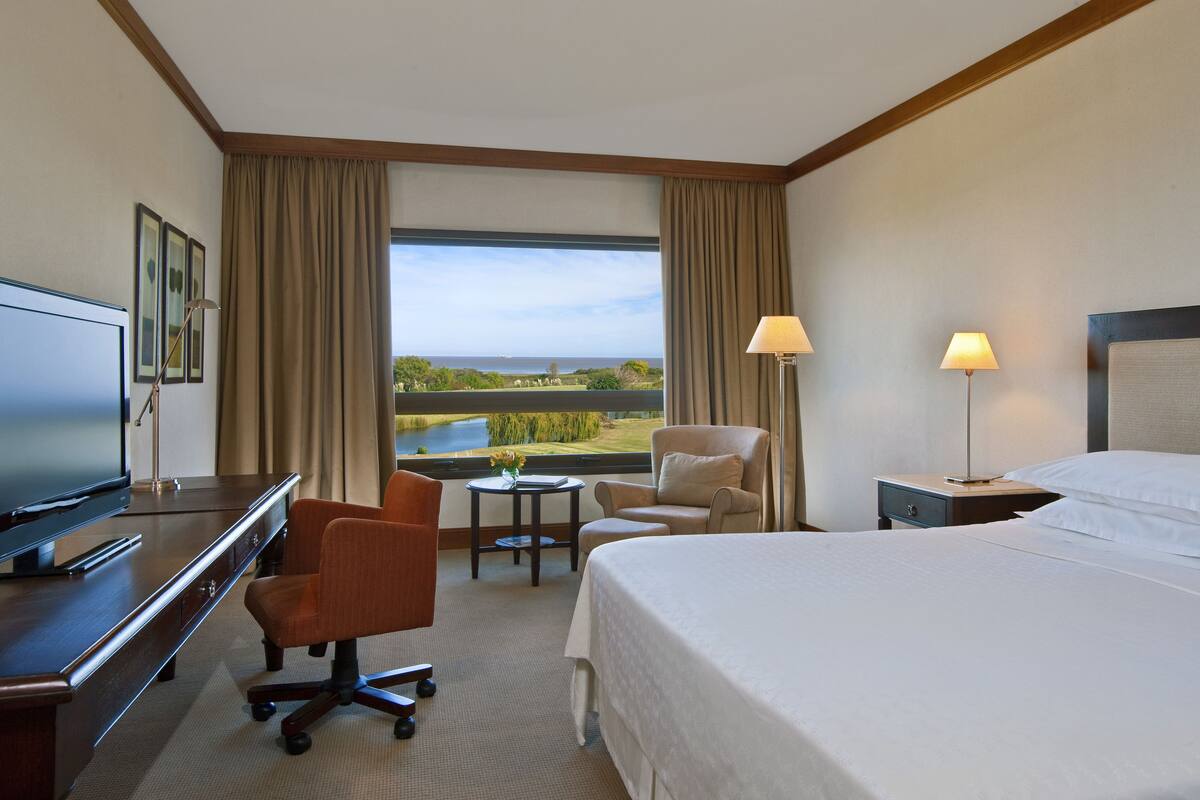 Una habitación de hotel con cama, escritorio, televisión y vistas al lago.