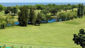 Enjoy a serene golfing experience with breathtaking ocean views surrounded by lush greenery.