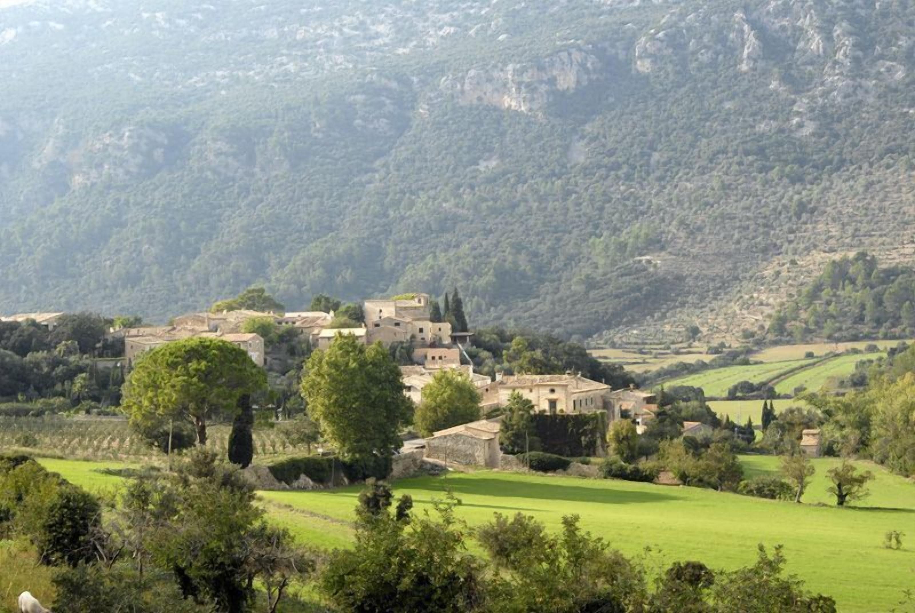 Foto - Finca Hotel Son Palou