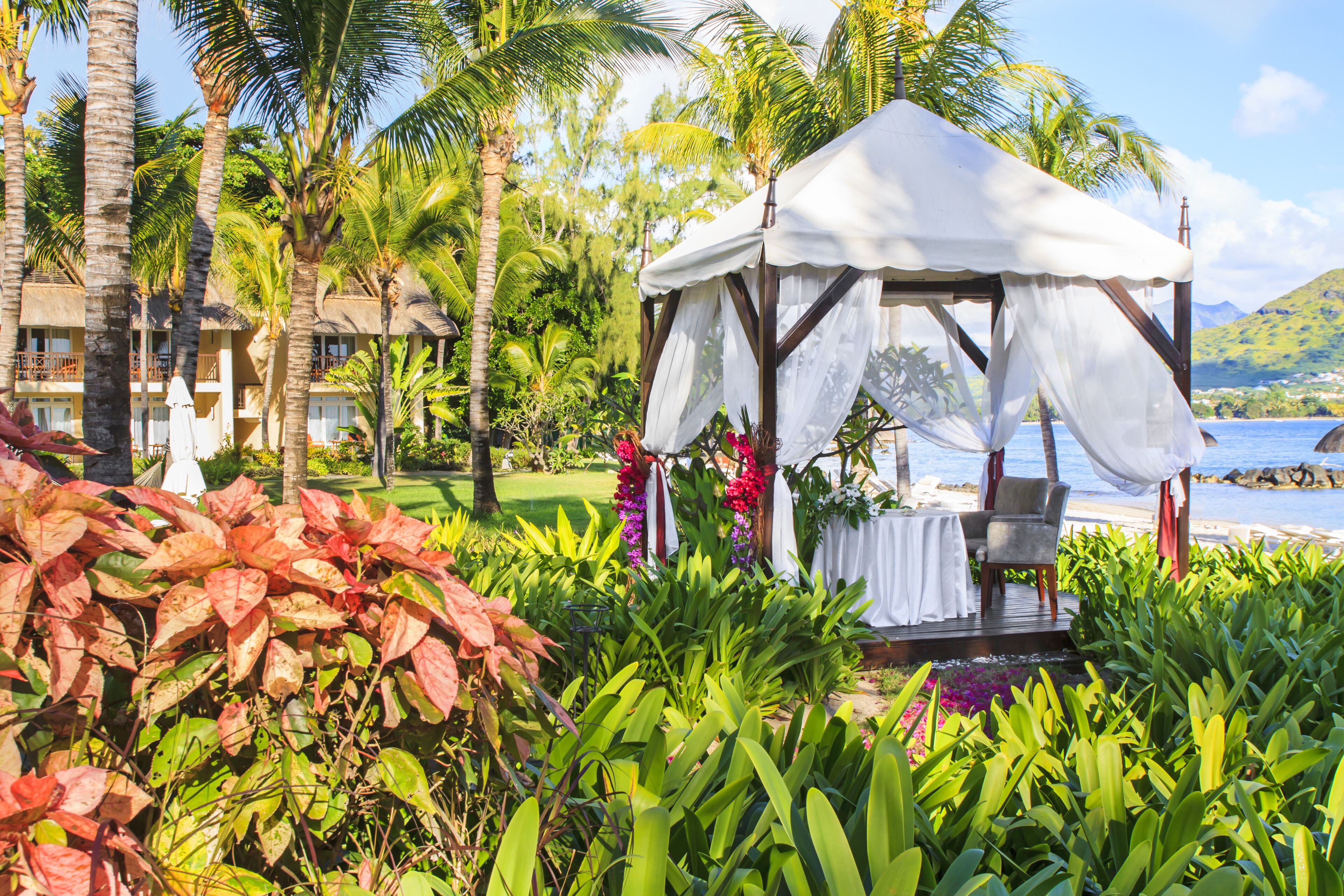 A gazebo with a white canopy, surrounded by lush greenery and palm trees, overlooking a beach.