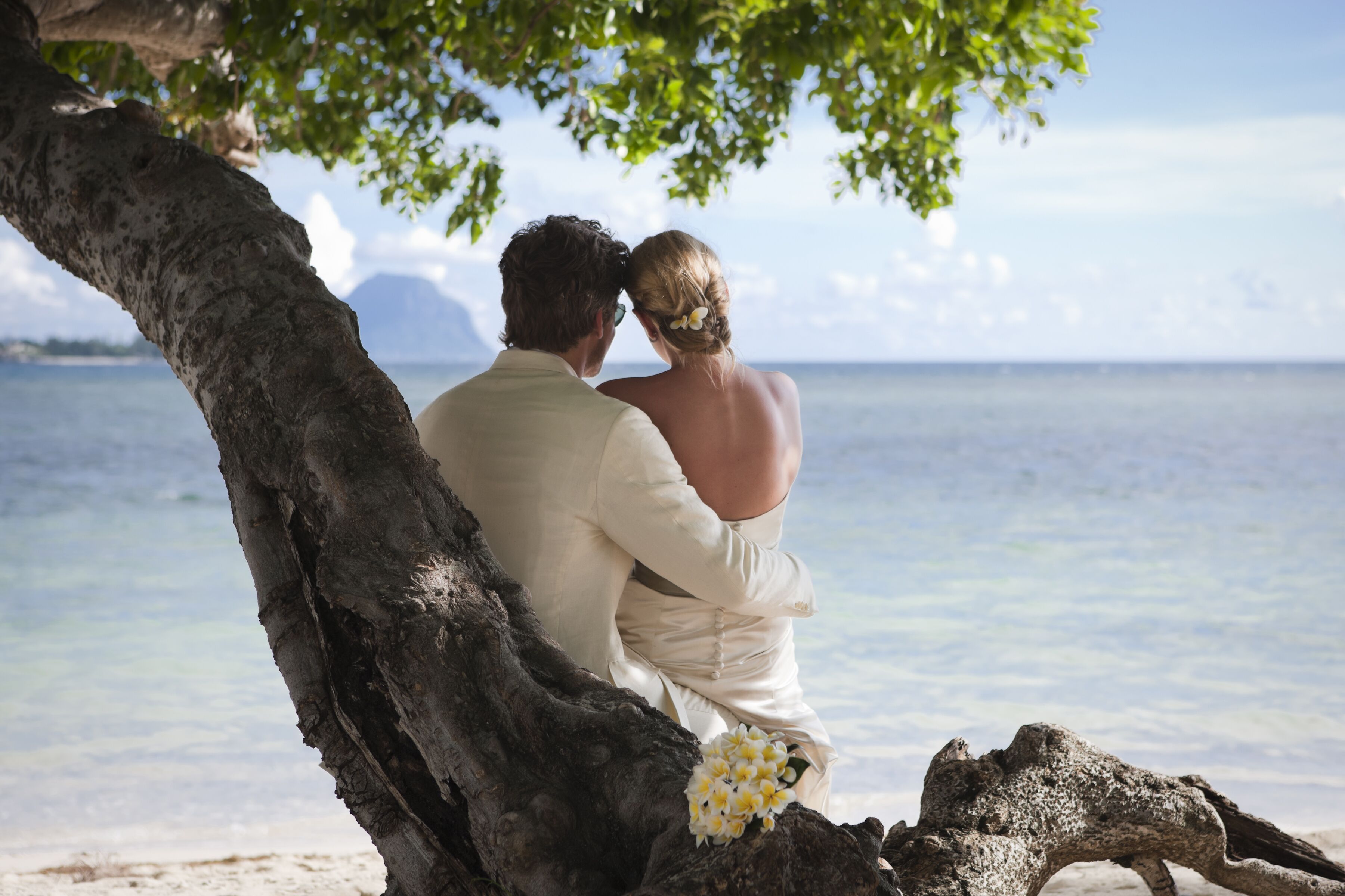 A couple sitting on a tree branch overlooking a beach.