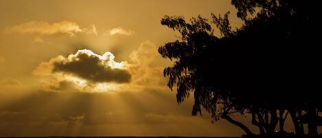 A sunset over the ocean with silhouettes of trees and a beach.